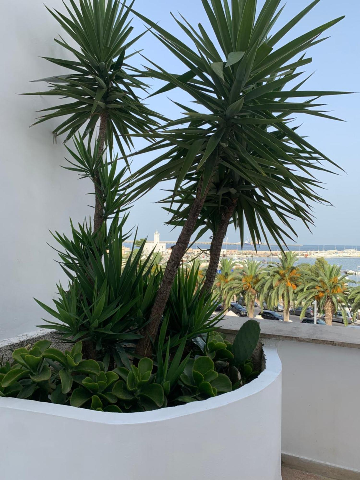 Terrazza Diomede- Manfredi Homes & Villas Manfredonia Exterior photo